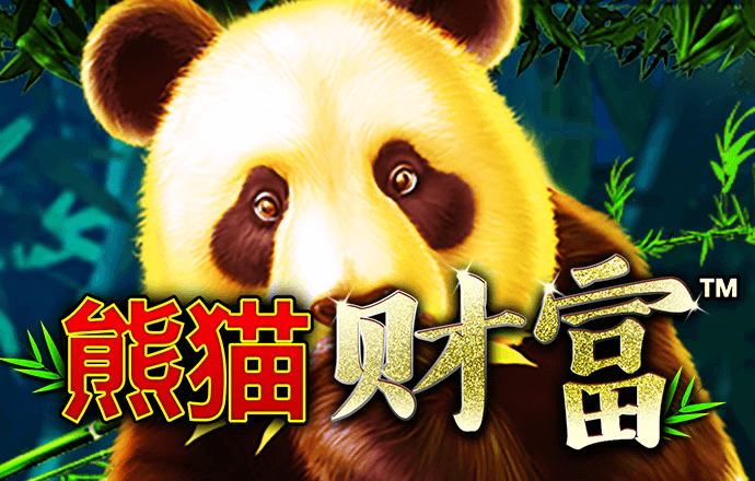 b体育